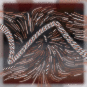 Friendship Bracelets #1555 cover