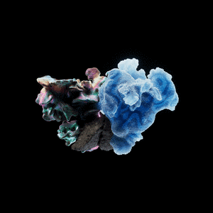 OG:Crystal 9258 cover