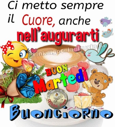 fujjjj