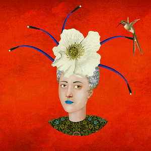 Flower Girl #9799 cover