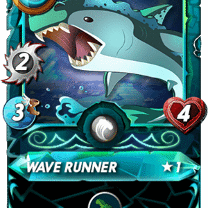 Wave Runner cover
