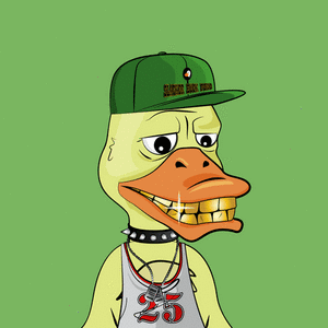 Slacker Duck #5885 cover