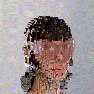 Bricktopian #8967 cover