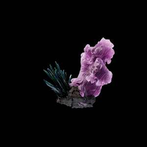 OG:Crystal 9264 cover