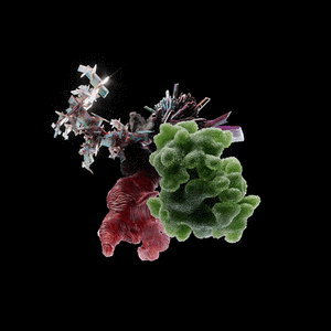 OG:Crystal 9259 cover